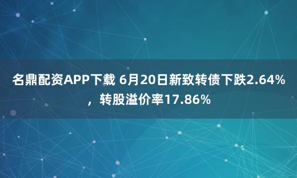 名鼎配资APP下载 6月20日新致转债下跌2.64%，转股溢价率17.86%