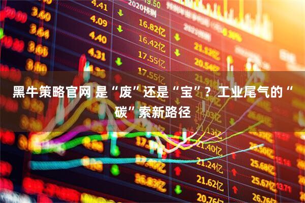黑牛策略官网 是“废”还是“宝”?工业尾气的“碳”索新路径