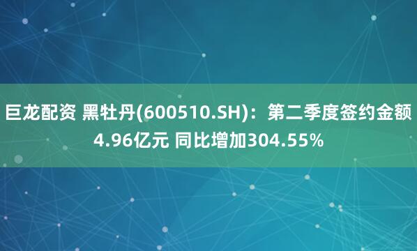 巨龙配资 黑牡丹(600510.SH)：第二季度签约金额4.96亿元 同比增加304.55%