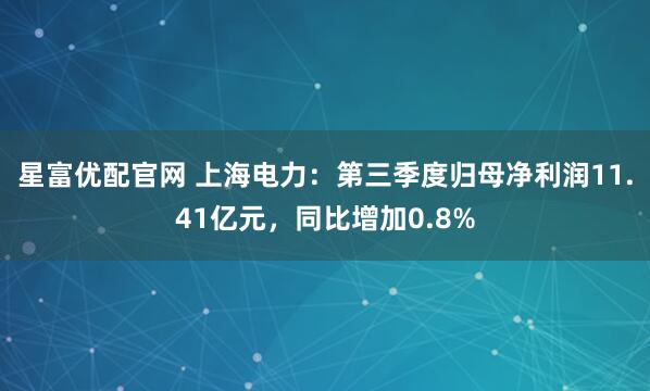 星富优配官网 上海电力:第三季度归母净利润11.41亿元,同比增加0.8%